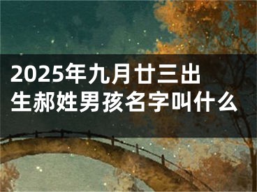 2025年九月廿三出生郝姓男孩名字叫什么