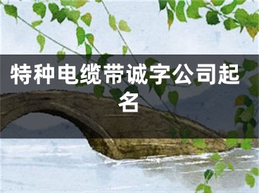 特种电缆带诚字公司起名