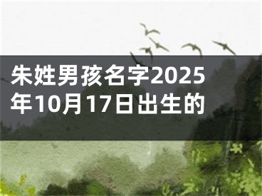 朱姓男孩名字2025年10月17日出生的