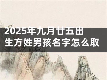 2025年九月廿五出生方姓男孩名字怎么取