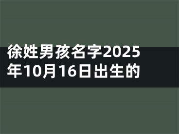 徐姓男孩名字2025年10月16日出生的