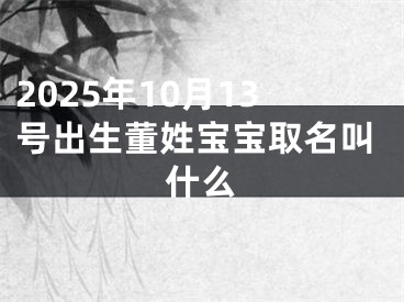 2025年10月13号出生董姓宝宝取名叫什么