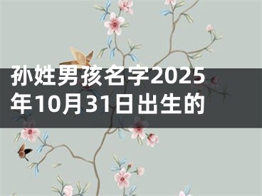 孙姓男孩名字2025年10月31日出生的