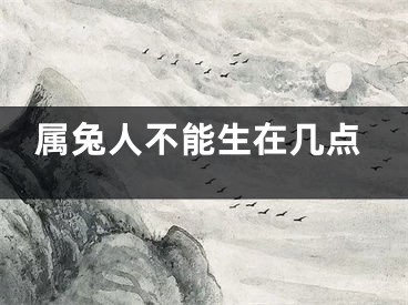 属兔人不能生在几点