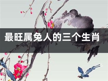 最旺属兔人的三个生肖