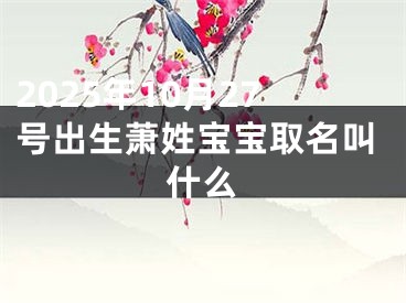 2025年10月27号出生萧姓宝宝取名叫什么