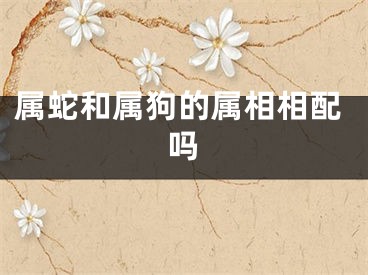 属蛇和属狗的属相相配吗