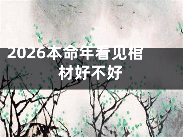 2026本命年看见棺材好不好