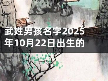 武姓男孩名字2025年10月22日出生的