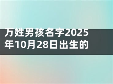 万姓男孩名字2025年10月28日出生的
