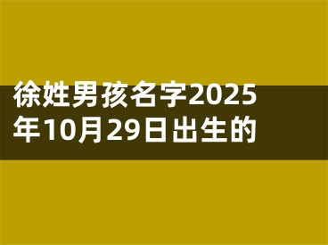 徐姓男孩名字2025年10月29日出生的