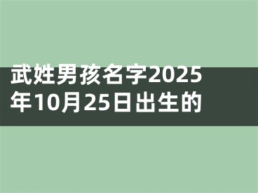 武姓男孩名字2025年10月25日出生的