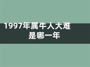 1997年属牛人大难是哪一年