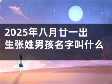 2025年八月廿一出生张姓男孩名字叫什么