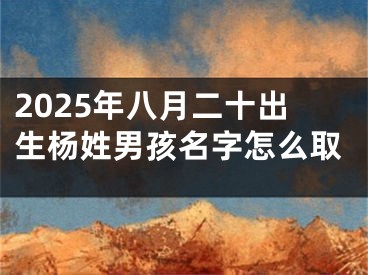2025年八月二十出生杨姓男孩名字怎么取