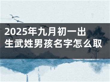 2025年九月初一出生武姓男孩名字怎么取