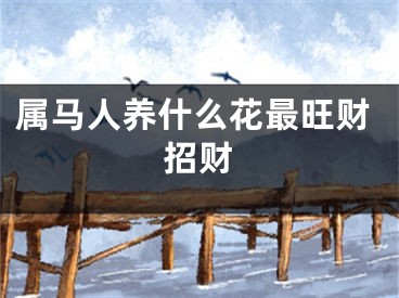 属马人养什么花最旺财招财