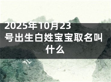2025年10月23号出生白姓宝宝取名叫什么
