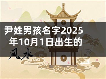 尹姓男孩名字2025年10月1日出生的