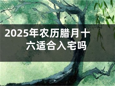 2025年农历腊月十六适合入宅吗