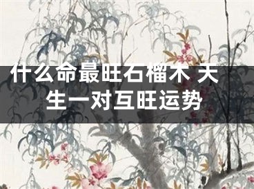 什么命最旺石榴木 天生一对互旺运势