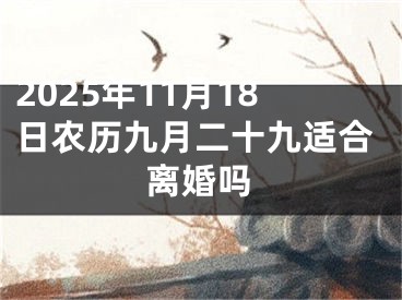 2025年11月18日农历九月二十九适合离婚吗