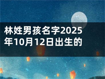 林姓男孩名字2025年10月12日出生的