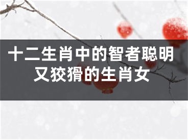 十二生肖中的智者聪明又狡猾的生肖女