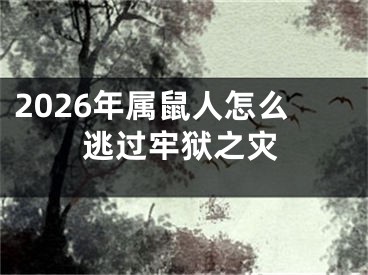2026年属鼠人怎么逃过牢狱之灾