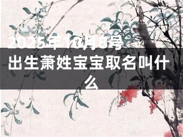 2025年10月8号出生萧姓宝宝取名叫什么