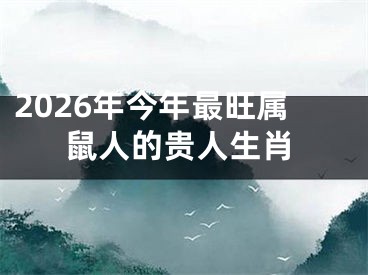 2026年今年最旺属鼠人的贵人生肖