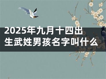 2025年九月十四出生武姓男孩名字叫什么