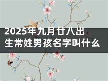 2025年九月廿八出生常姓男孩名字叫什么