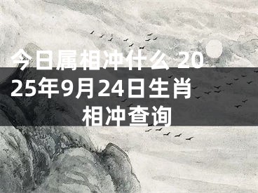 今日属相冲什么 2025年9月24日生肖相冲查询
