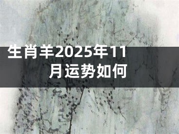 生肖羊2025年11月运势如何