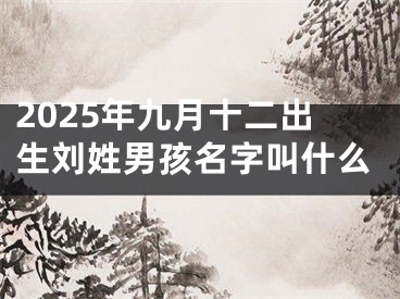 2025年九月十二出生刘姓男孩名字叫什么