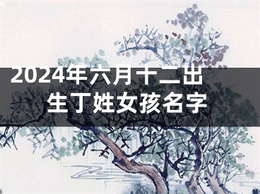 2024年六月十二出生丁姓女孩名字