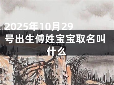 2025年10月29号出生傅姓宝宝取名叫什么