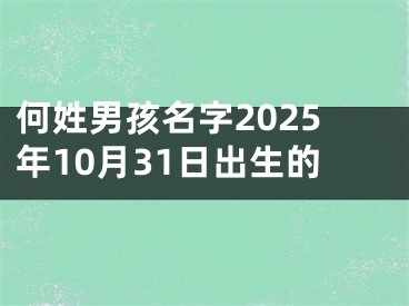 何姓男孩名字2025年10月31日出生的
