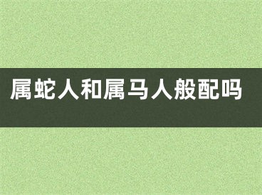 属蛇人和属马人般配吗
