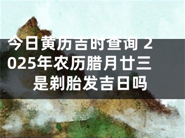今日黄历吉时查询 2025年农历腊月廿三是剃胎发吉日吗