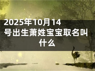 2025年10月14号出生萧姓宝宝取名叫什么
