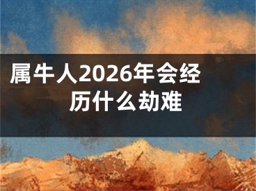 属牛人2026年会经历什么劫难
