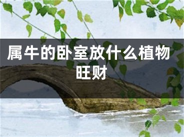 属牛的卧室放什么植物旺财