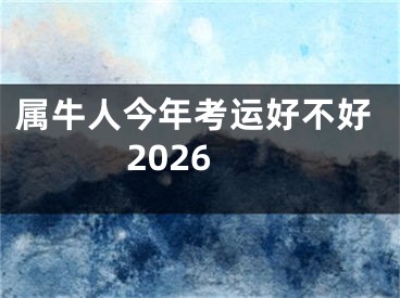 属牛人今年考运好不好2026