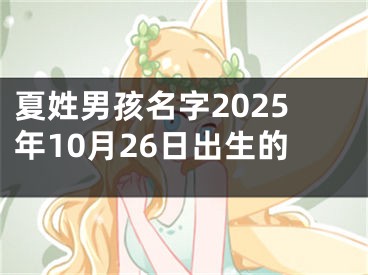 夏姓男孩名字2025年10月26日出生的