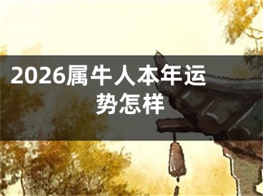 2026属牛人本年运势怎样