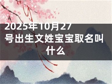 2025年10月27号出生文姓宝宝取名叫什么