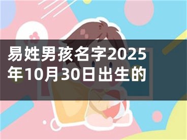 易姓男孩名字2025年10月30日出生的