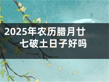 2025年农历腊月廿七破土日子好吗